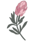 Biolifebalance-Logo-02.png Biolifebalance-Logo-02.png