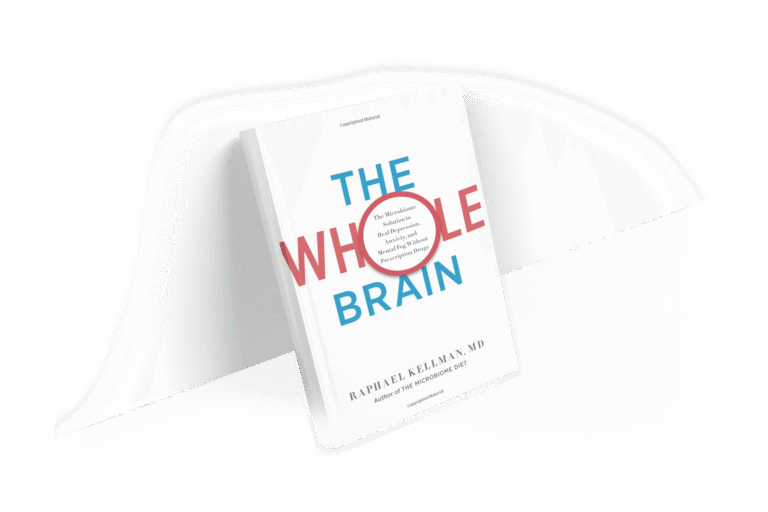The-whole-Brain