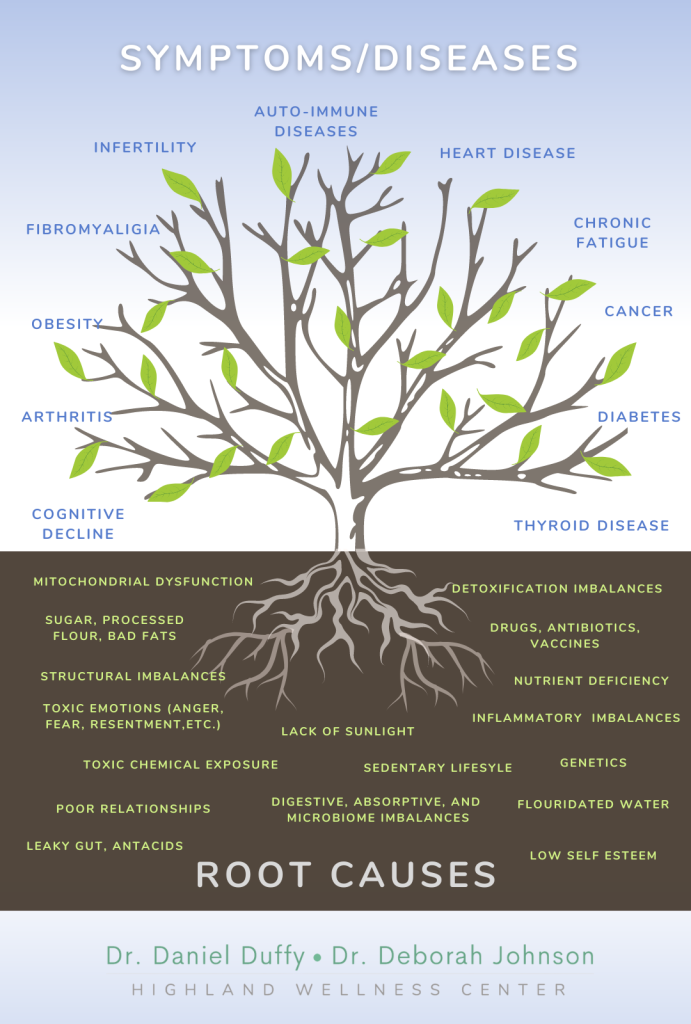 The Highland Wellness Center root cause tree graphic